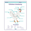 Chicken anatomy diagram with labeled parts on a white background